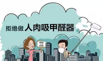 高温天甲醛爆表？化学博士生教你如何快速除甲醛